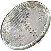 Algopix Similar Product 12 - Wagner Lighting 4414 Standard