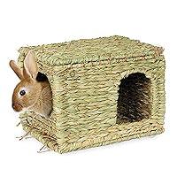 Algopix Similar Product 9 - SunGrow Chew Safe Rabbit  Ferret Grass