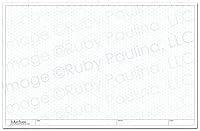 Algopix Similar Product 2 - 11x17 Loose Leaf Isometric Paper White