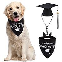 Algopix Similar Product 5 - PUPTECK Dog Birthday Bandana Scarf with