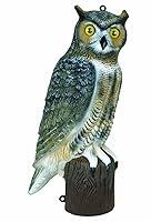 Algopix Similar Product 19 - Flambeau Outdoors 21" Owl Decoy