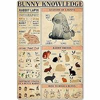 Algopix Similar Product 10 - QSHPO Donkey Knowledge Posters Metal