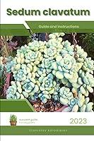 Algopix Similar Product 13 - Sedum clavatum Succulent Handbook