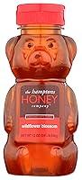 Algopix Similar Product 13 - HAMPTONS HONEY Wildflower Honey Bear