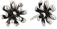 Algopix Similar Product 4 - Zina Sterling Silver Fireworks