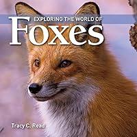 Algopix Similar Product 14 - Exploring the World of Foxes