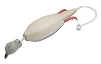Algopix Similar Product 20 - Dokken Mourning Dove Dead Fowl