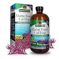 Algopix Similar Product 1 - Natures Answer Marine Based Calcium