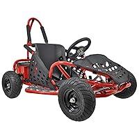 Algopix Similar Product 3 - MotoTec 48v 1000w Off Road Go Kart in