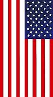 Algopix Similar Product 18 - Dohler Beach Towel, American Flag