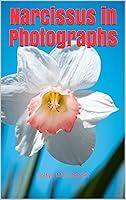 Algopix Similar Product 6 - Narcissus in Photographs