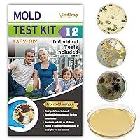 Algopix Similar Product 20 - Mold Test Kit for Home Within 12