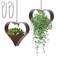 Algopix Similar Product 18 - Romooa 2 Pack Metal Hanging Planters