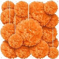 Algopix Similar Product 16 - Orange Tissue Paper Pom Poms  Assorted