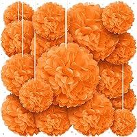 Algopix Similar Product 15 - Orange Tissue Paper Pom Poms  Assorted