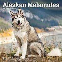 Algopix Similar Product 11 - Alaskan Malamutes  2024 12 x 24 Inch