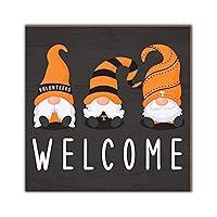 Algopix Similar Product 4 - Fan Creations Tennessee Welcome Gnomes