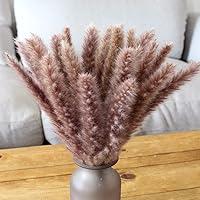 Algopix Similar Product 10 - XYXCMOR Dried Pampas Grass Fall Pampas
