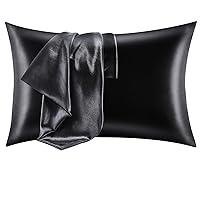 Algopix Similar Product 1 - CozyLux Silk Satin Pillowcase for Hair