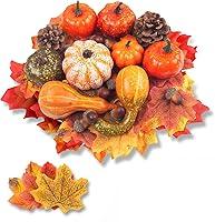 Algopix Similar Product 4 - DomeStar 50 PCS Thanksgiving Artificial