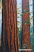 Algopix Similar Product 12 - Sequoia National Park Journal A 69