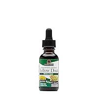 Algopix Similar Product 6 - Natures Answer Yellow Dock Root