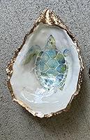 Algopix Similar Product 1 - Oyster Shell (Turtle)