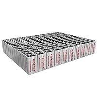 Algopix Similar Product 13 - Tenergy 9V Lithium Batteries 1200mah