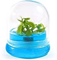 Algopix Similar Product 4 - BLOOMIFY Venus Flytrap Terrarium  Zero