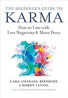 Algopix Similar Product 6 - The Beginners Guide to Karma How to