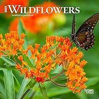 Algopix Similar Product 13 - Wildflowers  2025 7 x 14 Inch Monthly