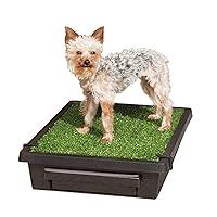 Algopix Similar Product 3 - PetSafe Pet Loo Portable Dog Potty 
