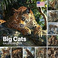 Algopix Similar Product 16 - Big Cats Calendar 2025 365 Days of