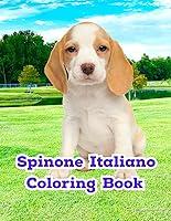 Algopix Similar Product 19 - Spinone Italiano Coloring Book Spinone