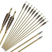 Algopix Similar Product 19 - Huntingdoor 12 Pcs Turkey Feather