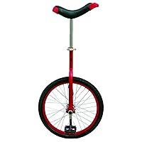 Algopix Similar Product 9 - Fun 20 Inch Wheel Unicycle with Alloy