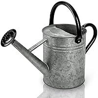 Algopix Similar Product 1 - Cesun Metal Watering Can 1 Gallon for