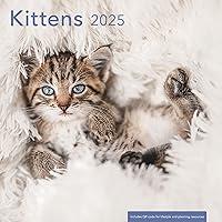 Algopix Similar Product 18 - Kittens 2025 Wall Calendar  Cat