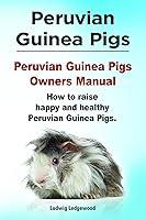 Algopix Similar Product 5 - Peruvian Guinea Pigs Peruvian Guinea