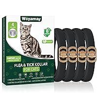 Algopix Similar Product 18 - 4 Pack Flea Collar for Cats Cat Flea