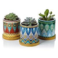 Algopix Similar Product 10 - Greenaholics Succulent Planter Pots3