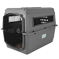 Algopix Similar Product 16 - Petmate Sky Kennel Pet Carrier 40