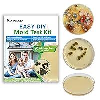 Algopix Similar Product 12 - Mold Test Kit for Home  6 Simple