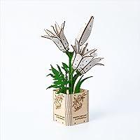 Algopix Similar Product 20 - BENNAMA 3D Wooden Puzzles Gardening