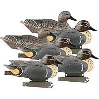 Algopix Similar Product 4 - Avery Life Size Green Winged Teal