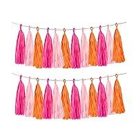 Algopix Similar Product 1 - Rose red Pink and Orange Tassel Garland