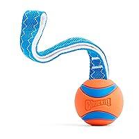 Algopix Similar Product 7 - Chuckit Ultra Tug Dog Toy Medium
