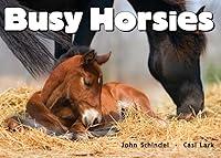 Algopix Similar Product 8 - Busy Horsies (A Busy Book)