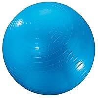 Algopix Similar Product 12 - Dick Martin Sports Exercise Ball 24