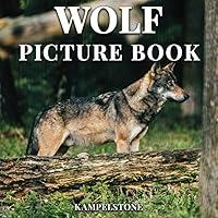 Algopix Similar Product 2 - Wolf Picture Book 100 Beuatiful Images